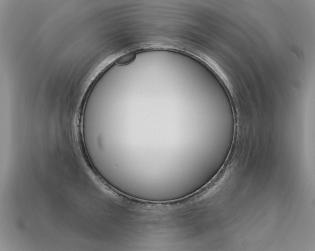X0000113270901200909101308