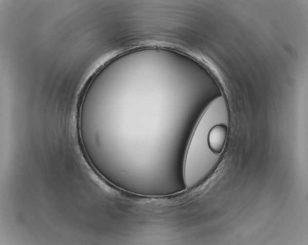 X0000113270902200909101308