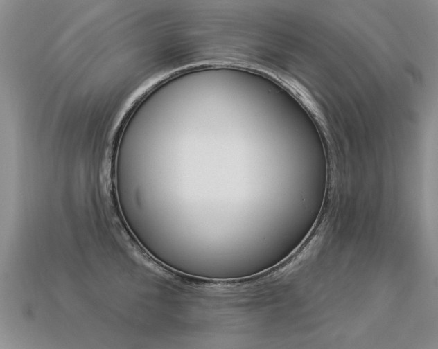 X0000113270904200909101308