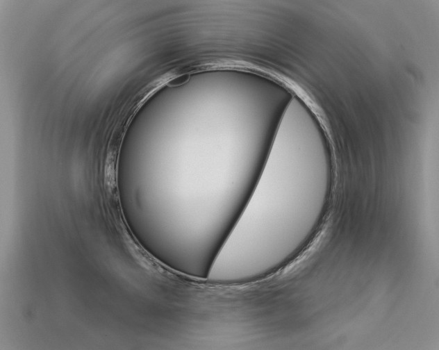 X0000113270905200909101308
