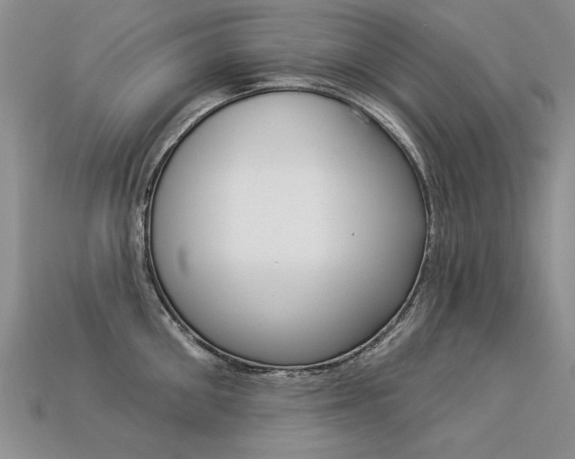 X0000113270906200909101308