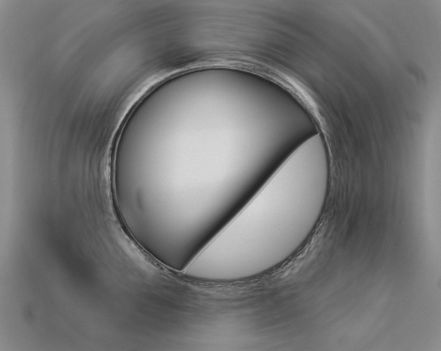 X0000113270907200909101308