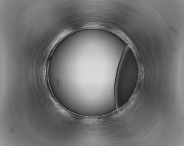 X0000113270909200909101308