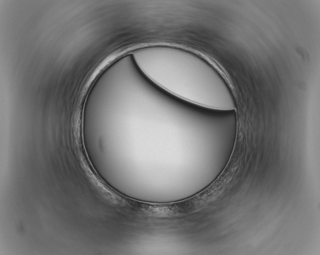 X0000113270911200909101308