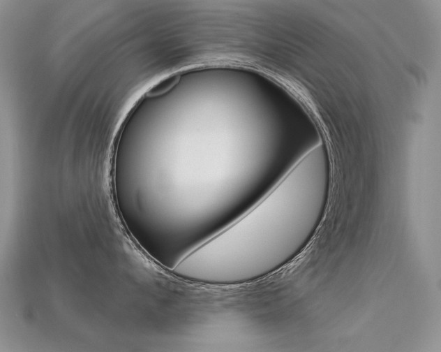 X0000113270912200909101308
