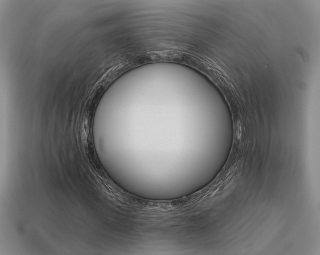 X0000113270915200909101307