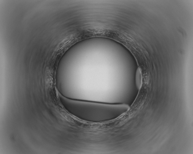 X0000113270916200909101307
