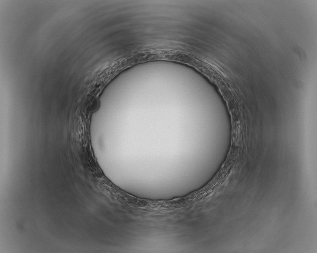 X0000113270917200909101307