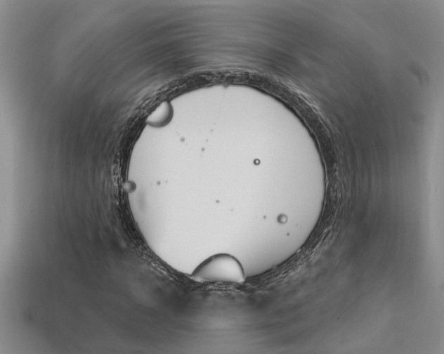 X0000113270918200909101307