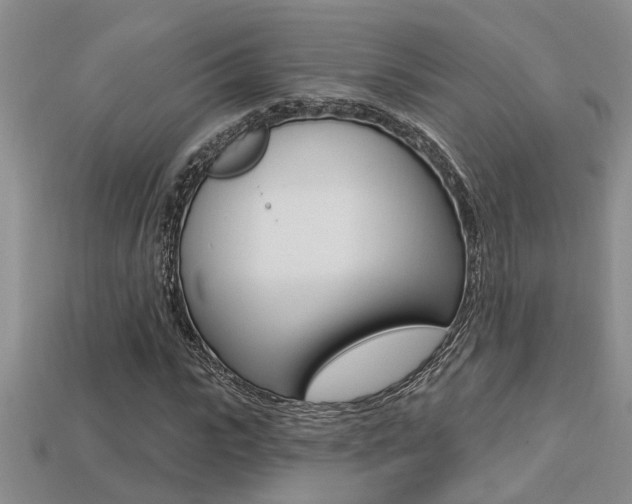 X0000113270919200909101307