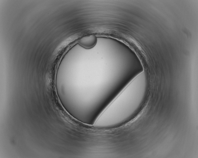 X0000113270922200909101307