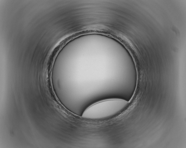 X0000113270923200909101307