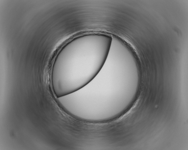 X0000113270925200909101307