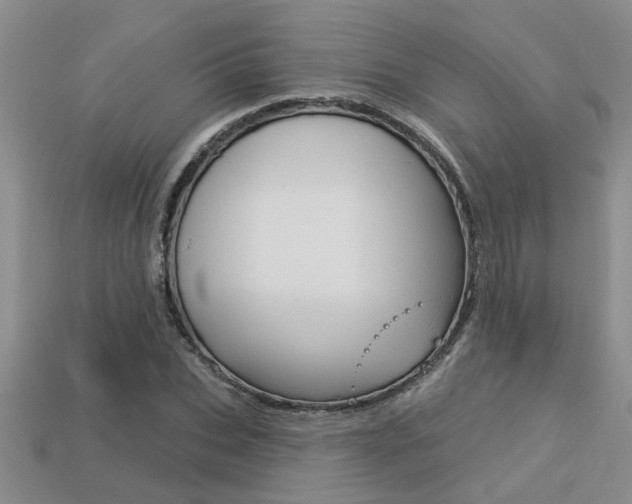 X0000113270927200909101308