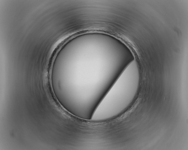 X0000113270928200909101308