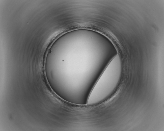 X0000113270930200909101308