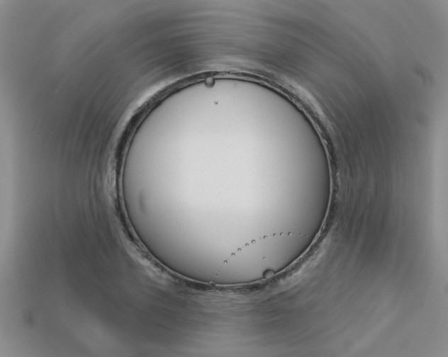 X0000113270931200909101308
