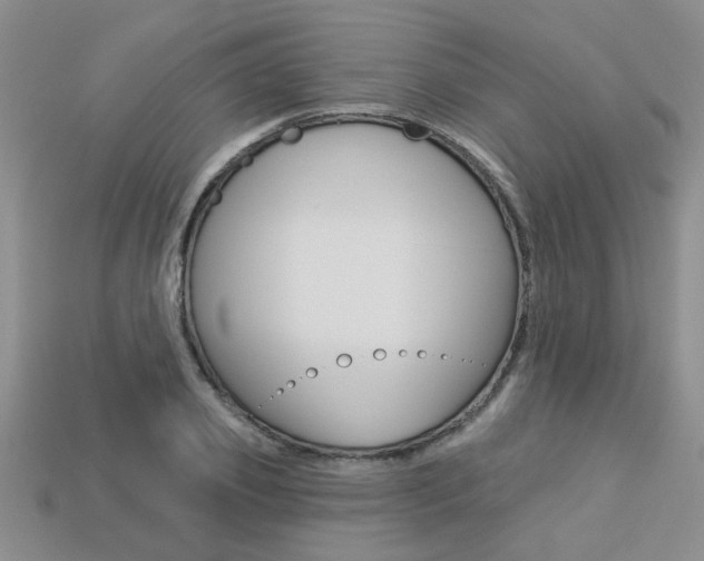 X0000113270933200909101308