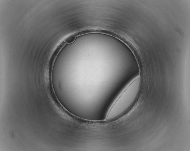 X0000113270934200909101308