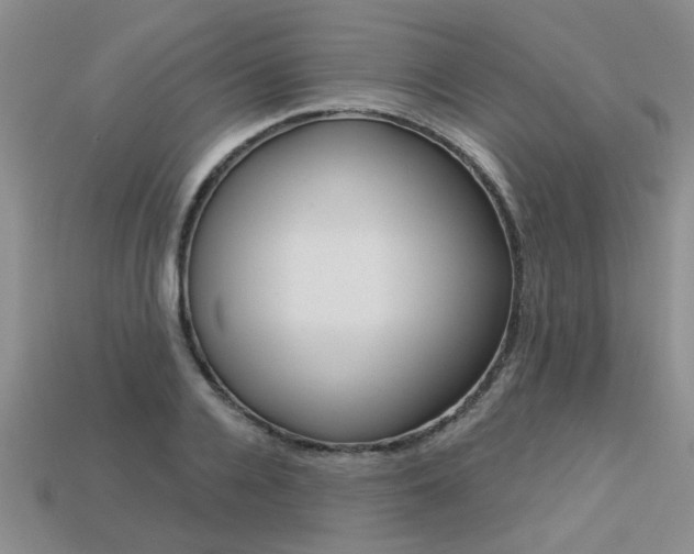 X0000113270936200909101308