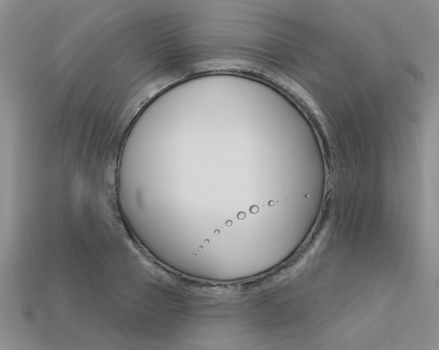 X0000113270937200909101308