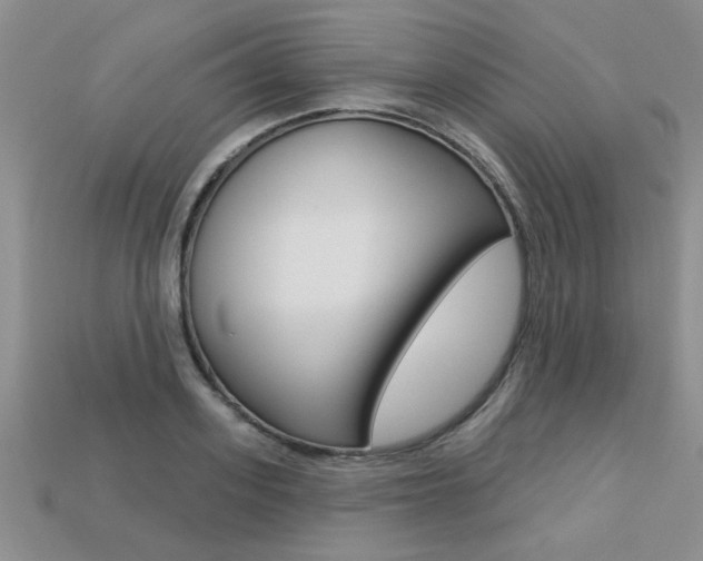 X0000113270939200909101308