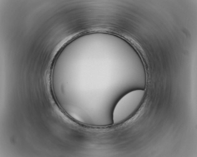 X0000113270941200909101308