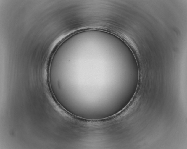 X0000113270944200909101308