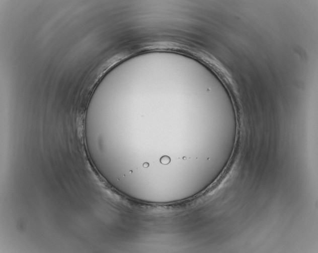 X0000113270945200909101308
