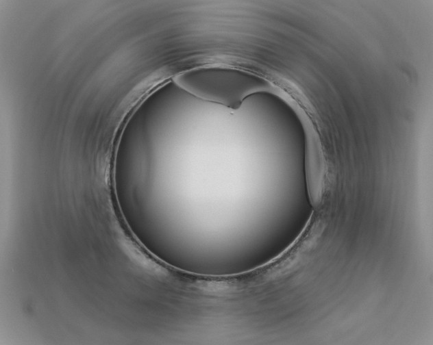 X0000113270946200909101308