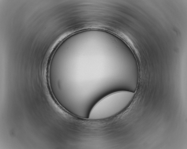 X0000113270947200909101308