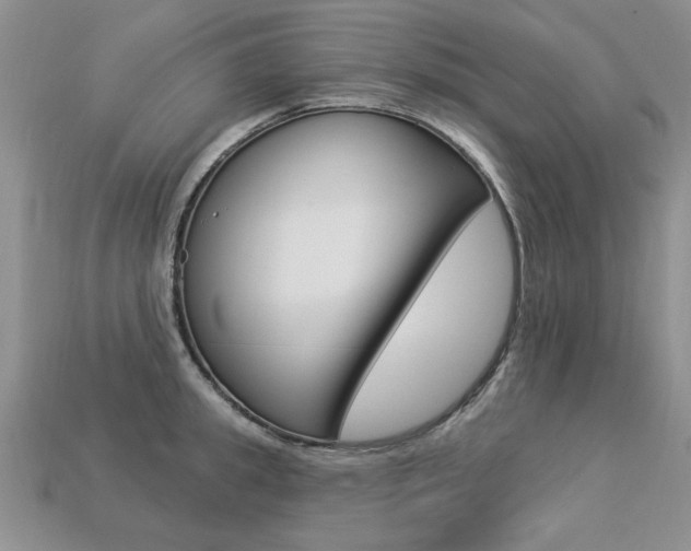 X0000113270949200909101308