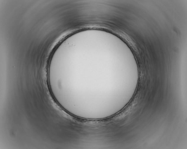 X0000113270950200909101308