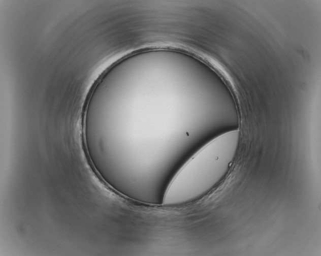 X0000113270951200909101308