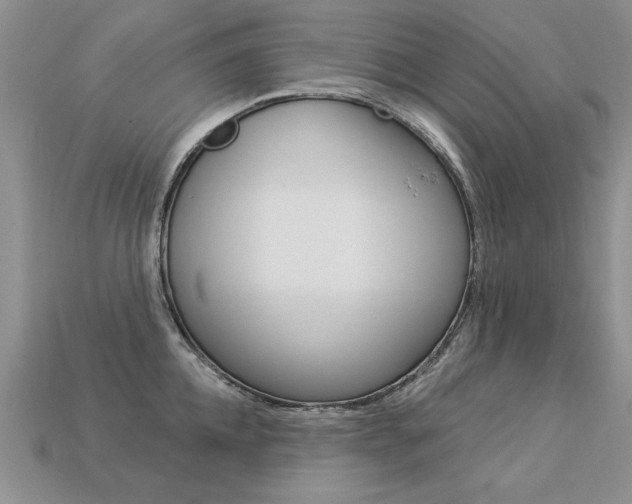 X0000113270952200909101308