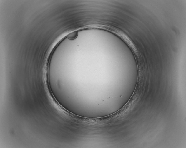 X0000113270955200909101308