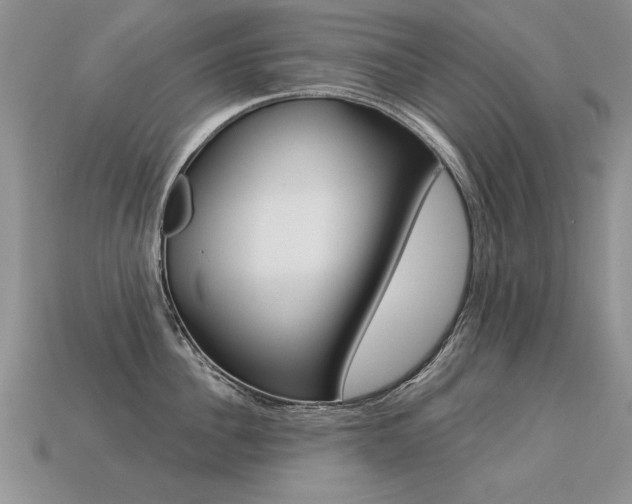 X0000113270956200909101308