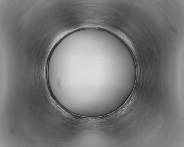 X0000113270958200909101308