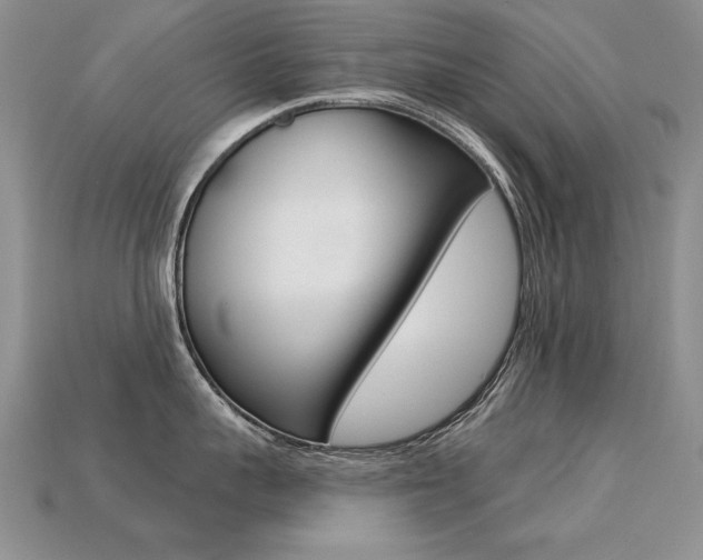 X0000113270959200909101308