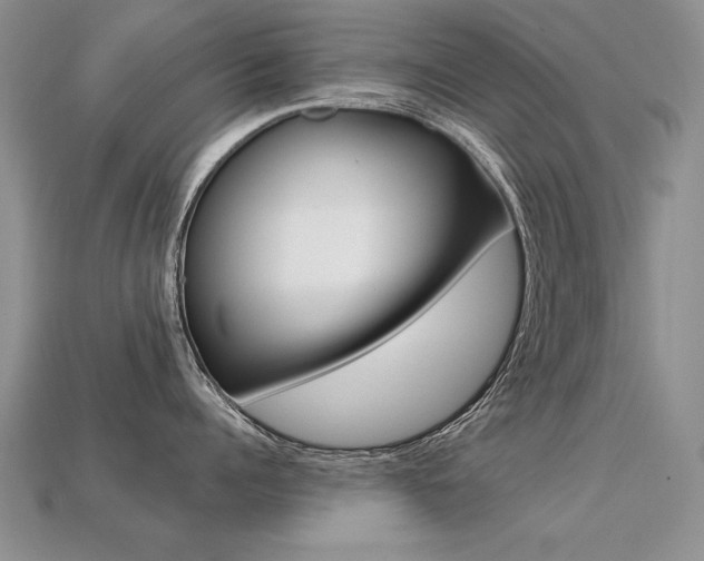 X0000113270960200909101308