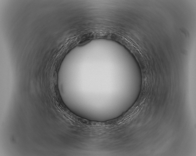 X0000113270961200909101307