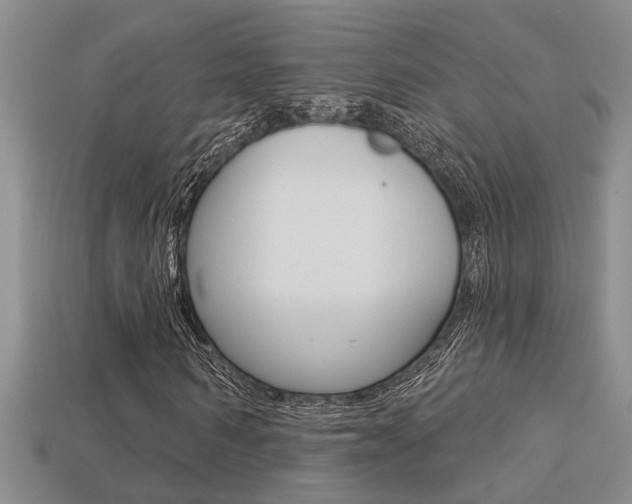 X0000113270962200909101307