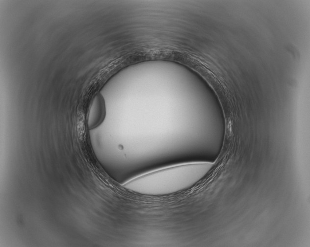 X0000113270963200909101307