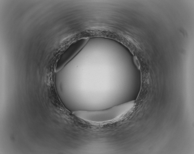X0000113270965200909101307