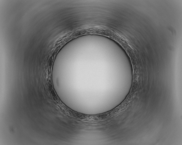 X0000113270966200909101307