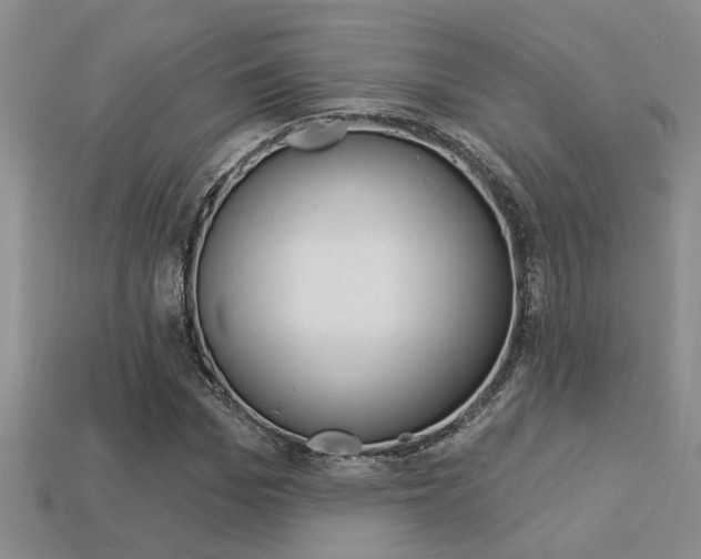 X0000113270969200909101307