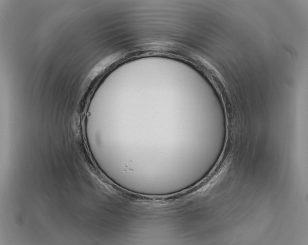 X0000113270970200909101307