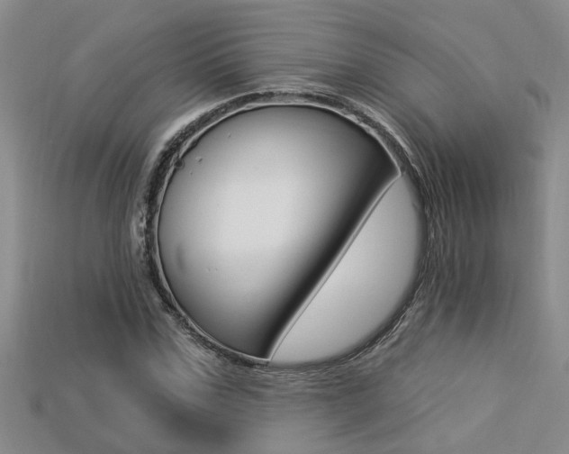 X0000113270971200909101307