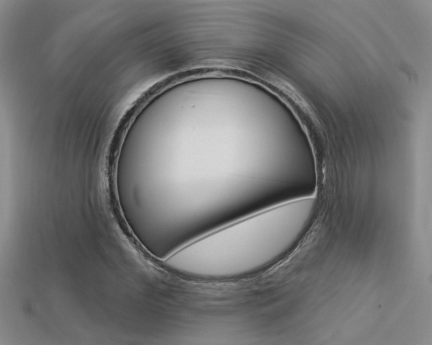 X0000113270972200909101307