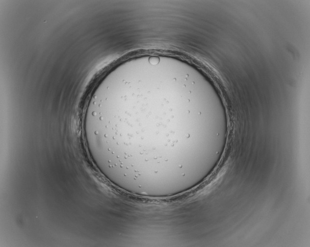 X0000113270974200909101307